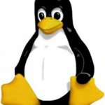 Linux als Webserver